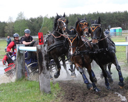 Michael Brauchle gewann den Marathon von Aachen. Foto: Wego